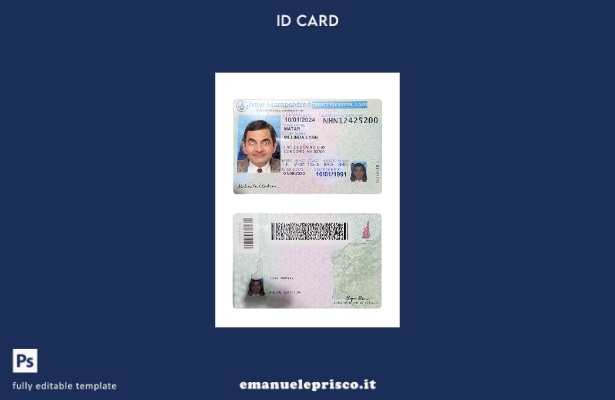 modello di carta d'identità USA New Hampshire in stile verificato